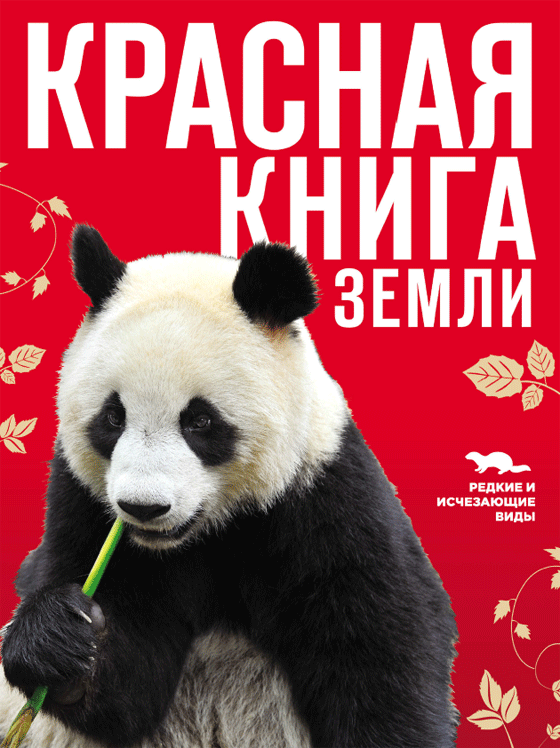 Большая панда - животное красной книги (сообщение)